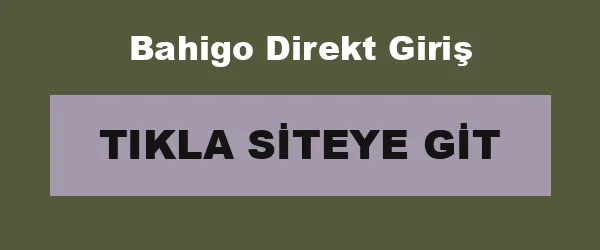 Bahigo Direkt Giriş infografik